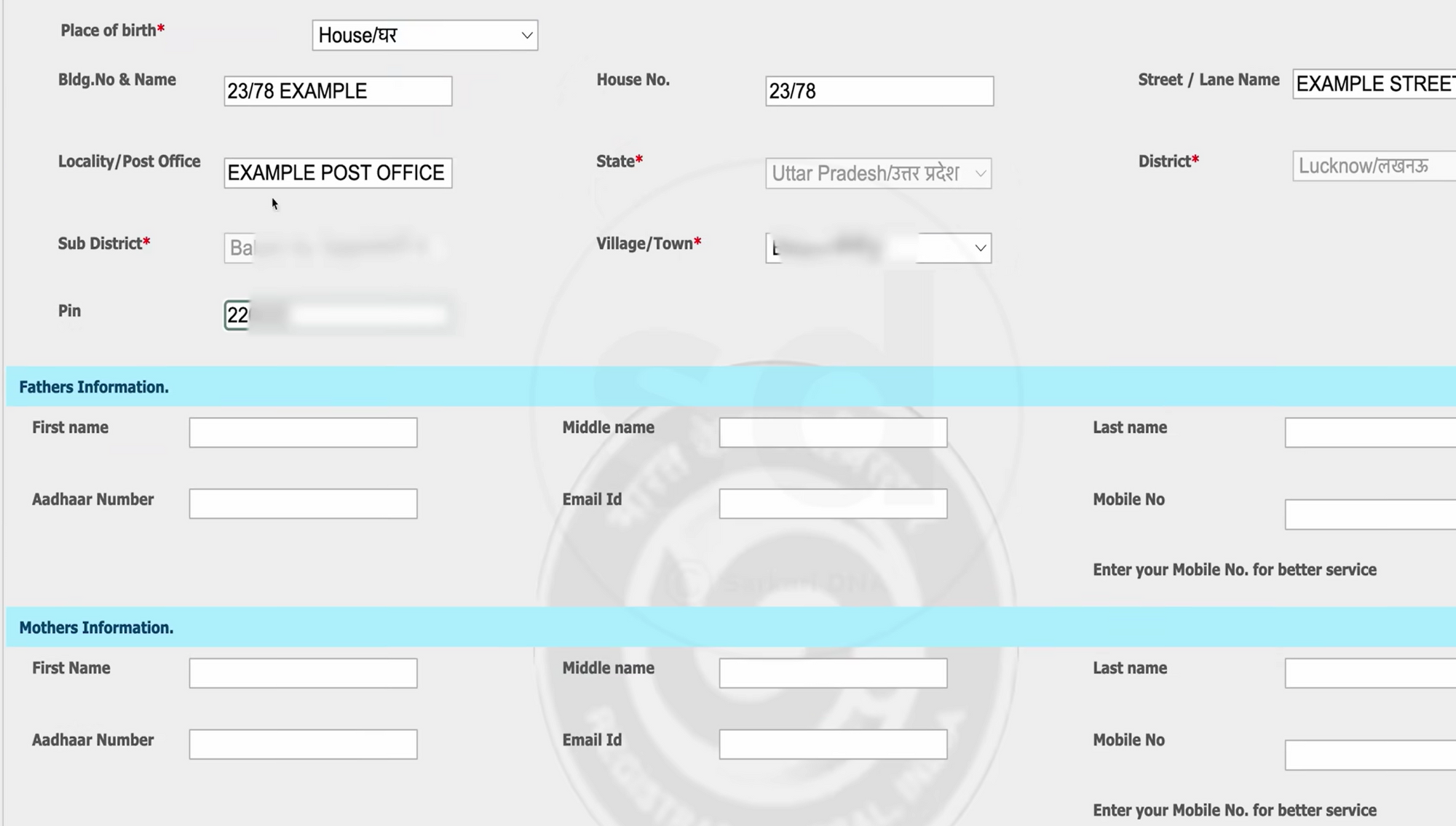 Birth Certificate Form